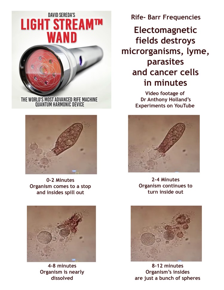 RifeProtazoaExplode copy.jpg